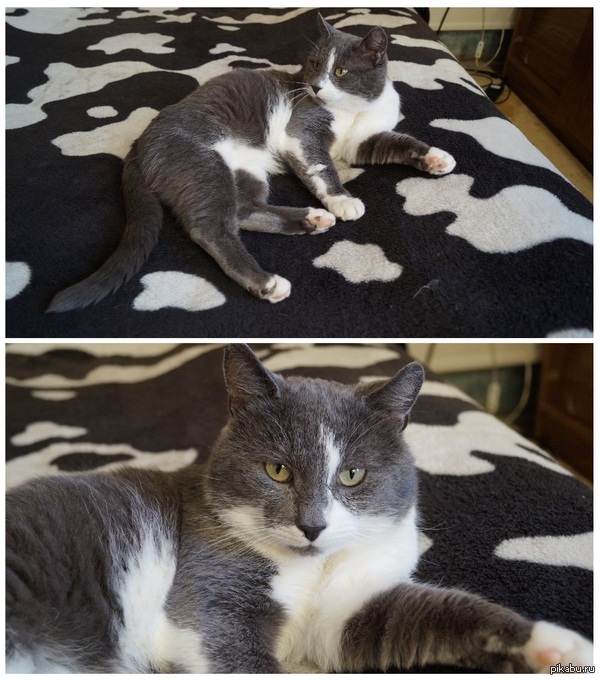 ,    =*-*=?,  ,   .)   ,     ,    )