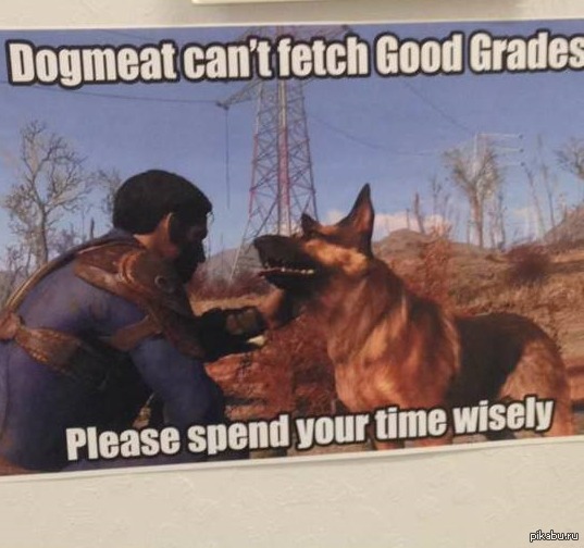 ������� �������� ����������� �������� �� ��������� Fallout 4