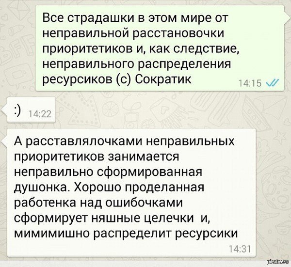 (с) Сократик | Пикабу