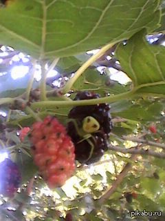 ����-��������