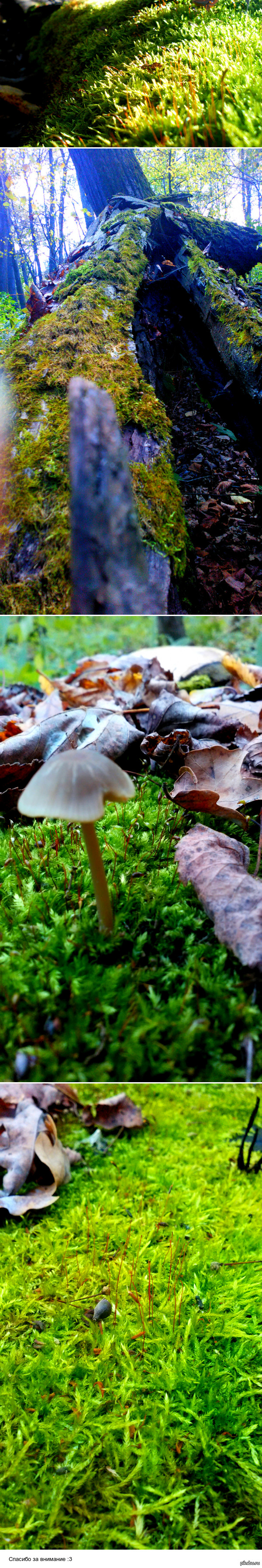 ����-���� ���� ��� � �����