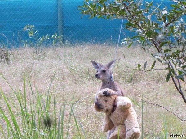 ��������� ������� � ��� ����)