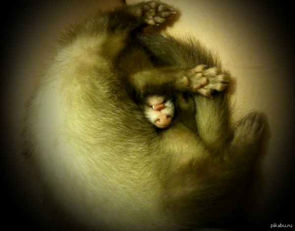 ��� �����, � �� �����.