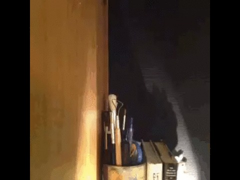       .... 