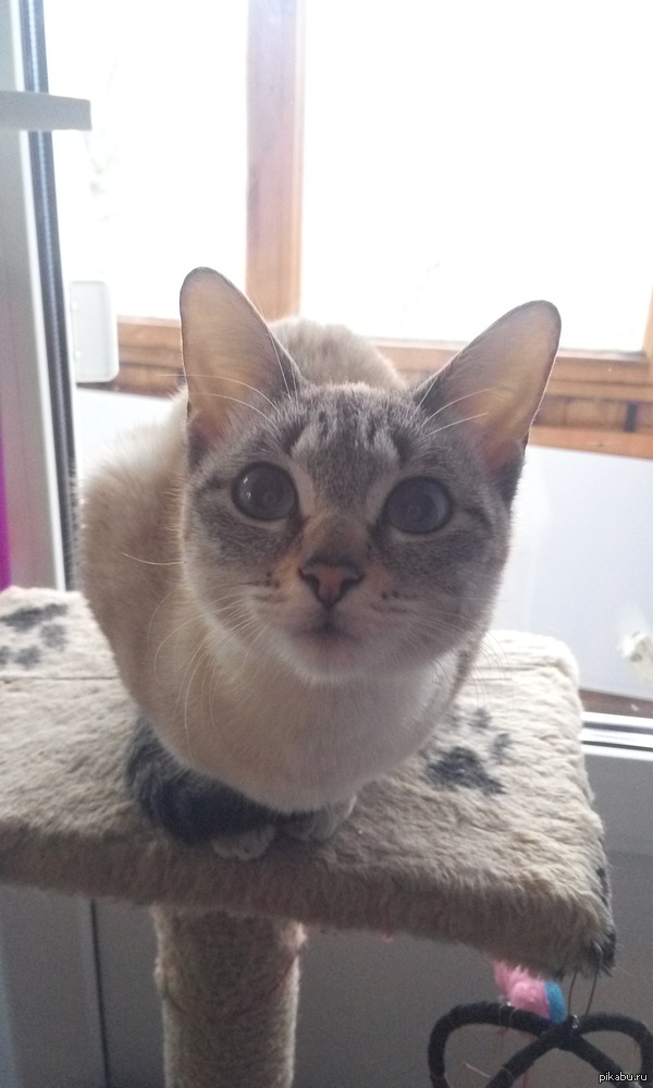 ������ ����� ������� ����.