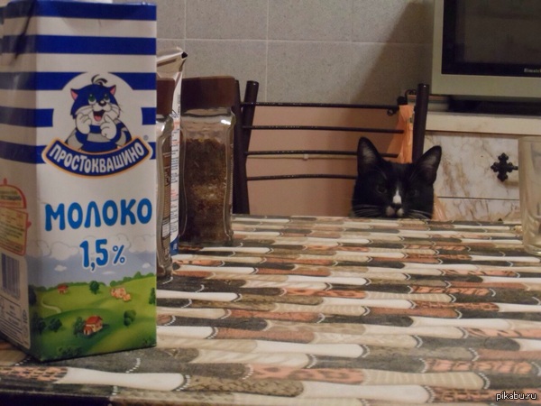 ���� ���