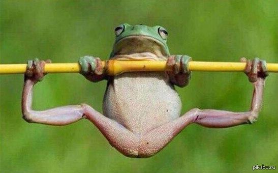 ������� ����� ������ ����������� #1