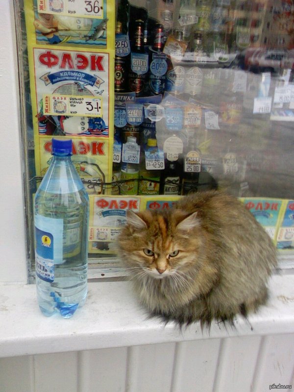 Не очень доброе утро)