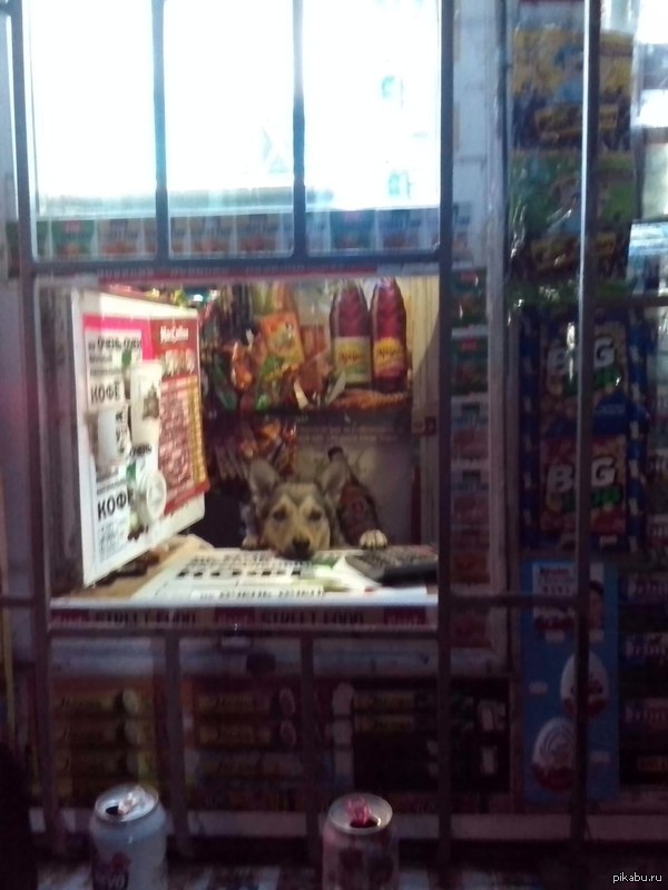 Нынче времена такие, что и собаки приторговывают!