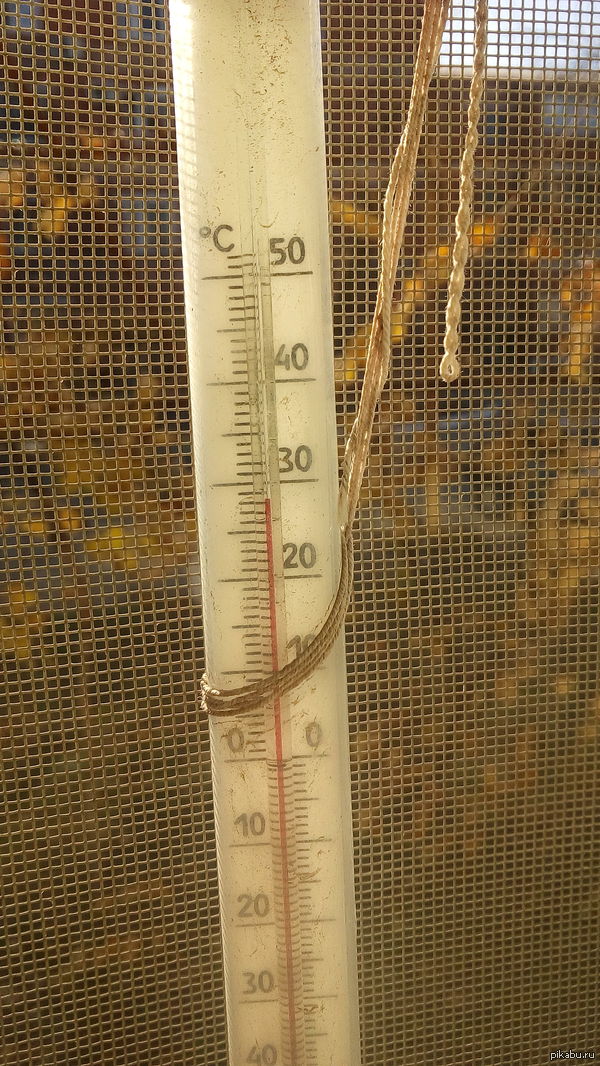 ������ ����, ������ ����....+28 �� ������))