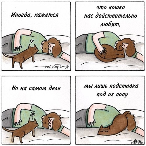 Зачем Нюхать Жопу