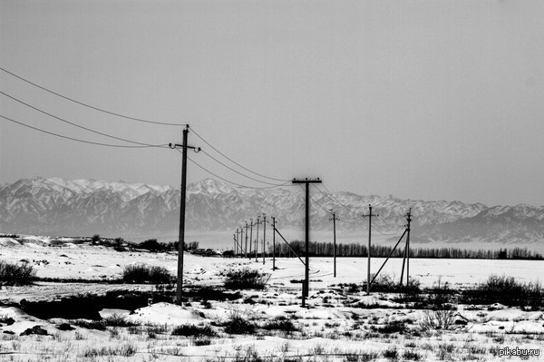 � ������ ����������