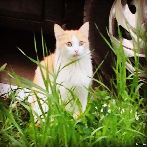 �� ����� ��������� ������