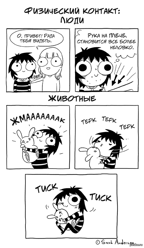 ���������� �������