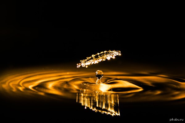 �������-�� ����� ����� �� ������������ � �������.