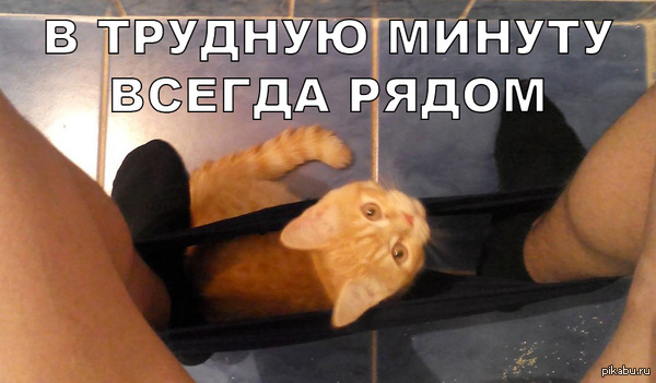 В трудную минуту всегда поддержит тебя