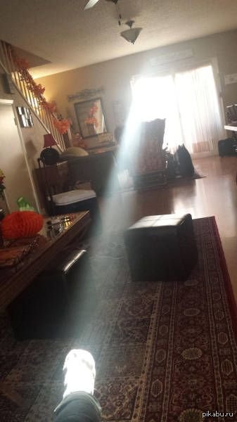 Этот носок был избран