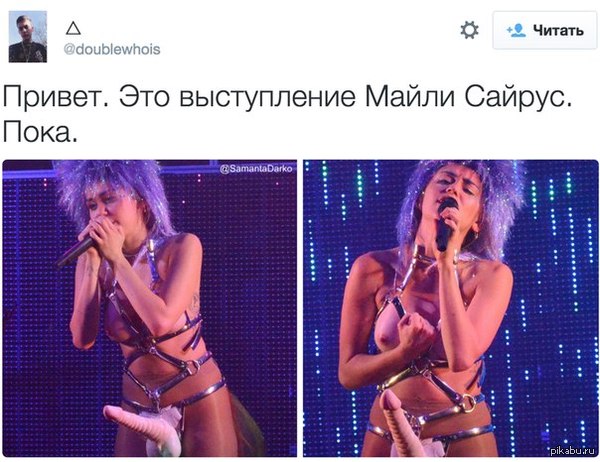 Безумие - NSFW, Майли Сайрус, Twitter, Пенис