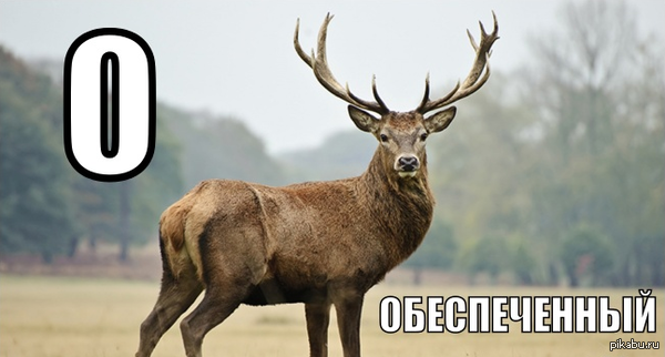 Когда твой товарищ заявляет, что он обеспеченный человек