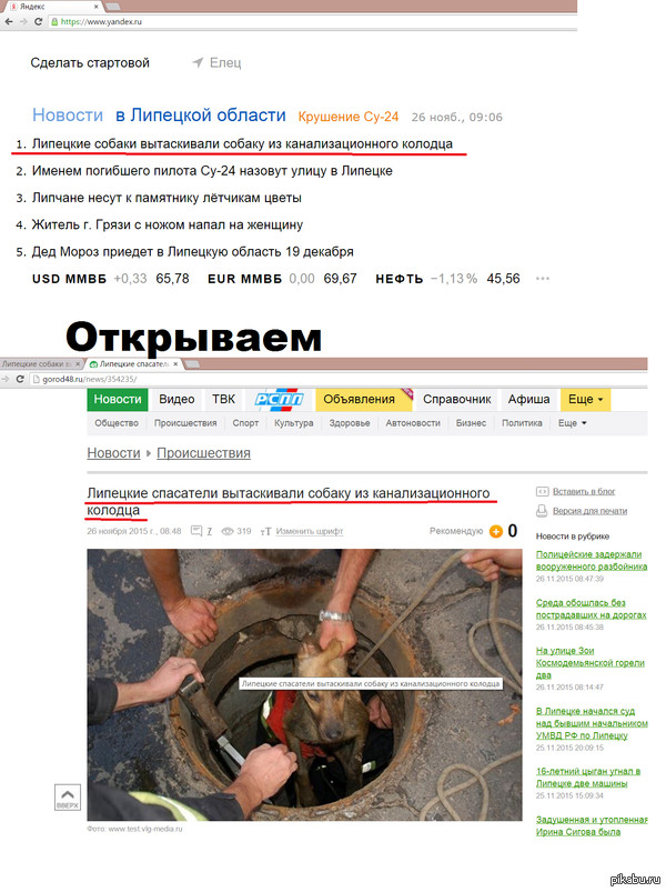 Oh, these Lipetsk news)))) - Error, news, Dog