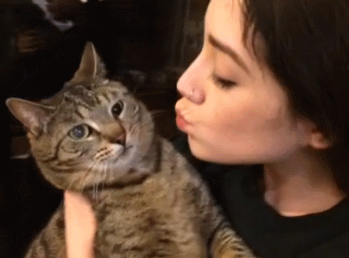 Песня кусь мур. Кот кусает. Котик целует. Девушка целует кота. Кот целует девушку гиф.