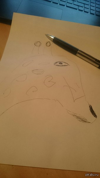 Странно , но мои рисунки не путают с фотошопом ... (жираф , шариковая ручка )