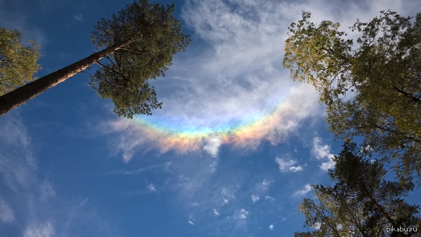 ��� ����� ���������� ������ �� ������ ������� �������