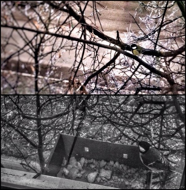 ��������� ��.