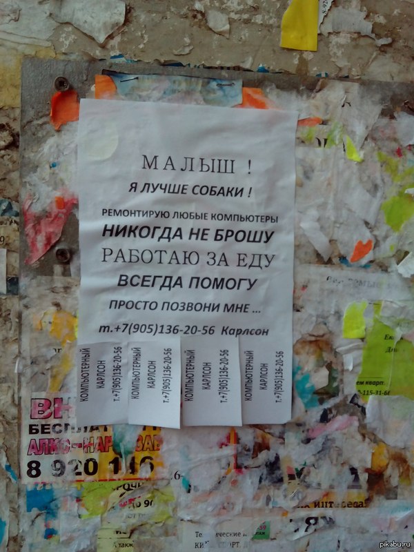 Ремонт это - когда платишь вареньем за то что тебе поставили винду.