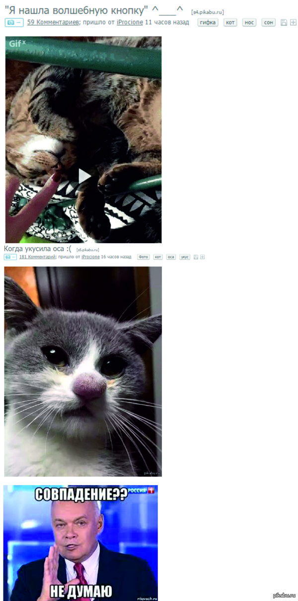 ?  !     :)