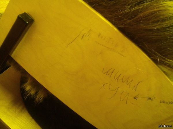 Миша, Миша | Пикабу