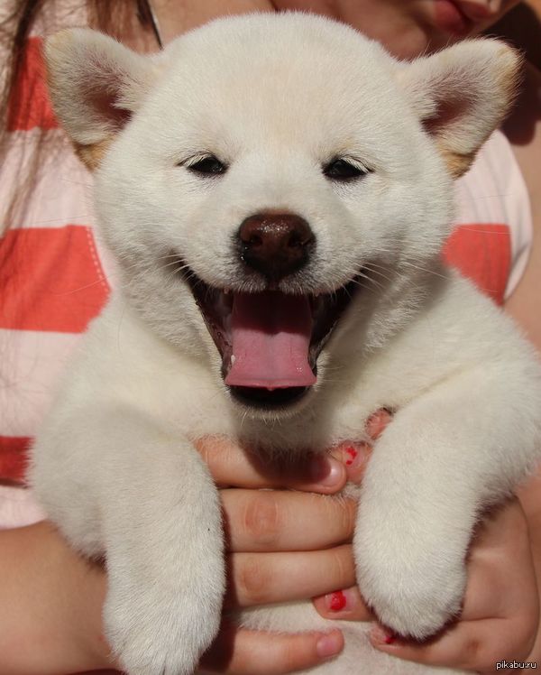 �������!