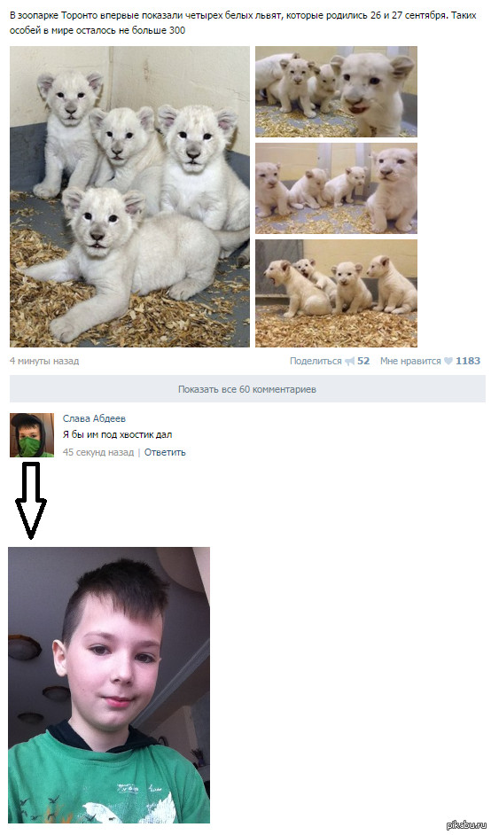 � �������! � �����!