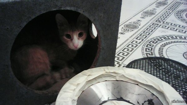 �������� ������