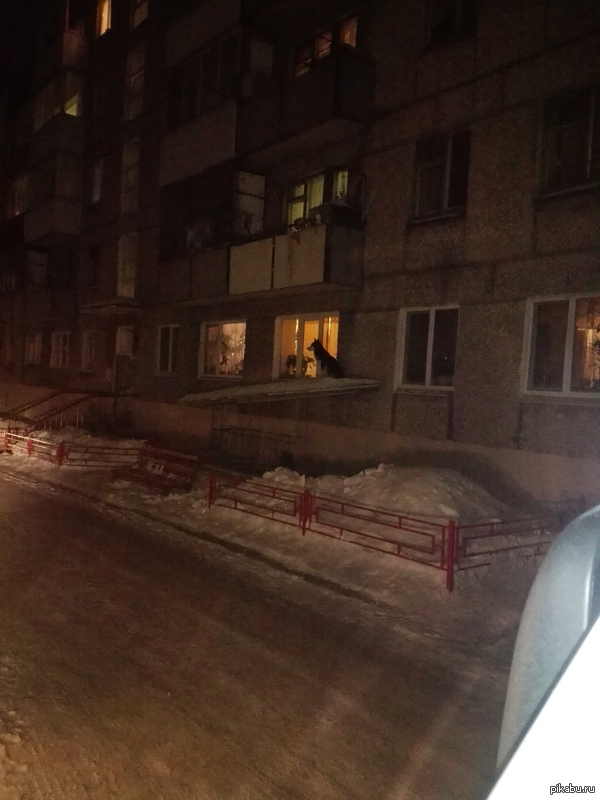 На прогулке