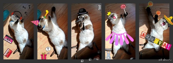 �����-������� �������