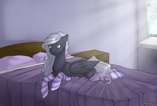 Midnight Cloud  -    ,    =3