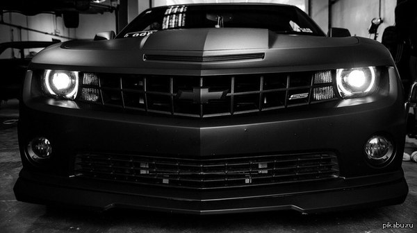 Beast