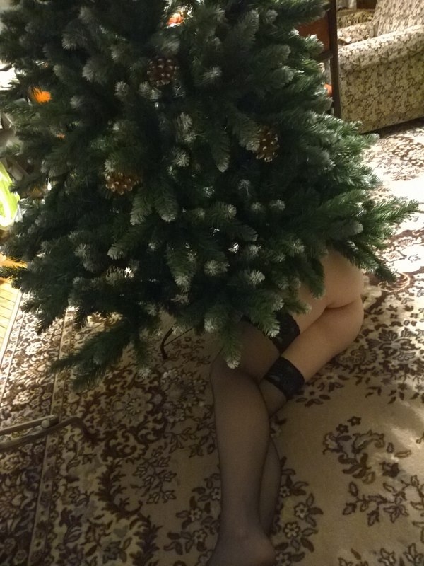 Christmas tree - My, NSFW, Longpost, New Year, Booty