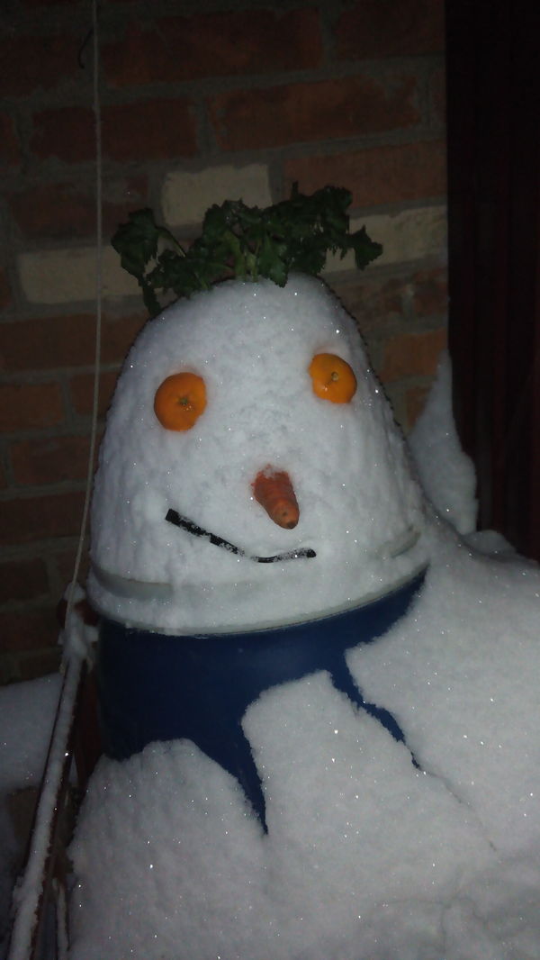 Бочковик, краснодарский брат Сненовика.