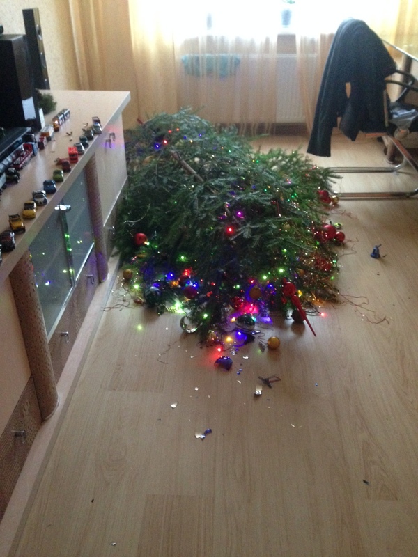 Вот вы говорите коты... а у меня жена ёлку уронила... :D
