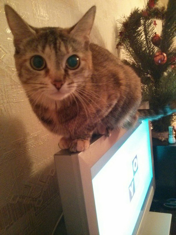  , ?    ? , ,  , , , 