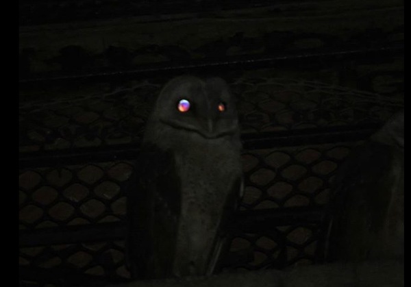 ����� ���� �� ����� ����� � ����� ������ ���