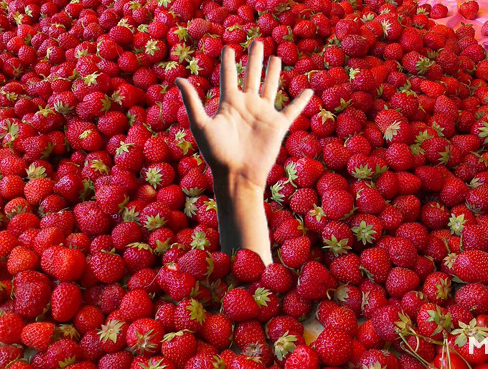 ������� �� ������!