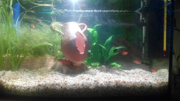 ��� ����� ��������� �� ����� ��� ������� ��� �������.