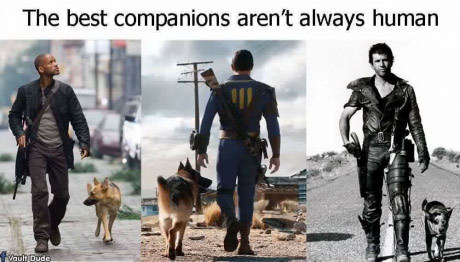      9GAG,  , Fallout 4, 