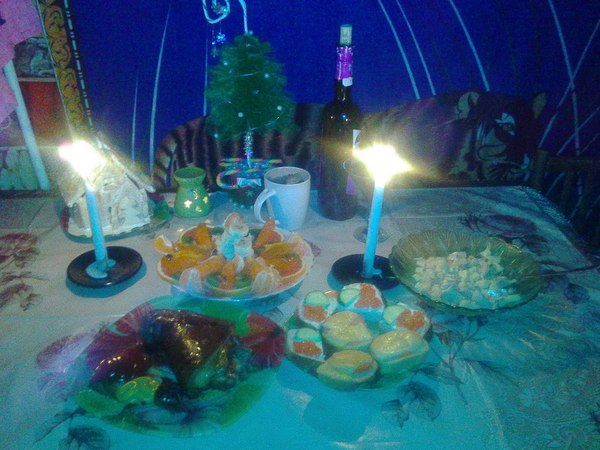 В Новый год одна)) Буду кутить до утра!!!