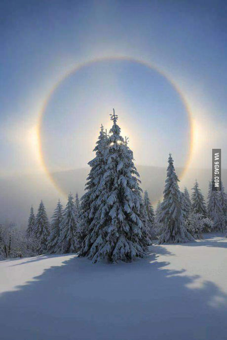   9GAG, , ,  , 