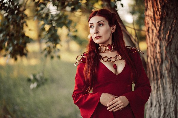 ������ �������. ���� ���������. �����������. ��� ������ �������.