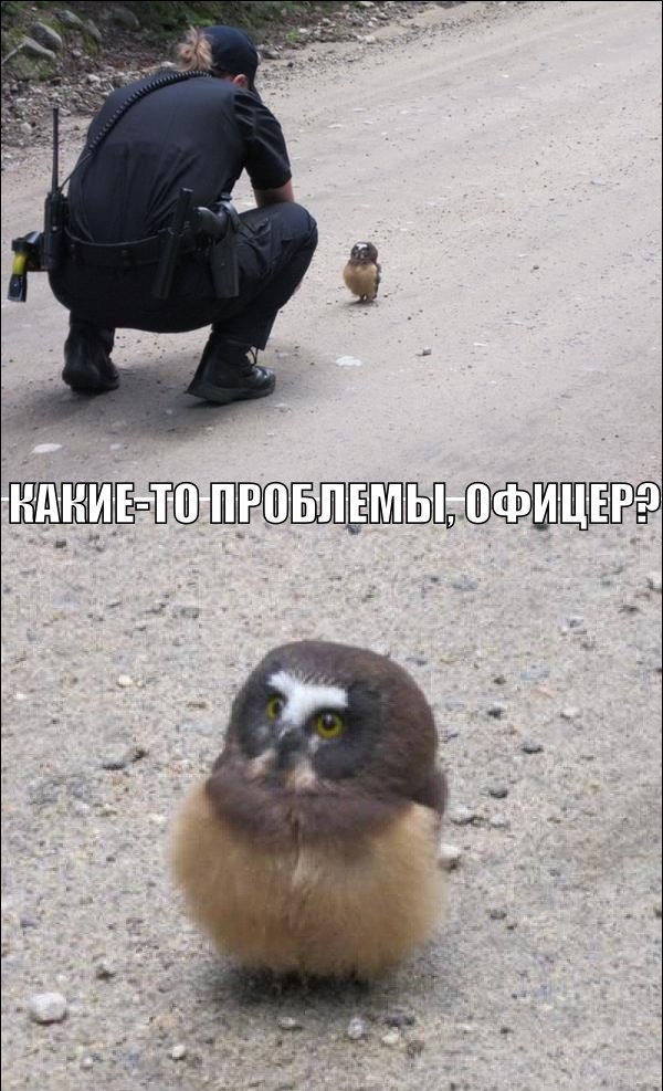 � ����� �����, ������! �����, ����� � ����������� ���� �������� � ������ ���������!